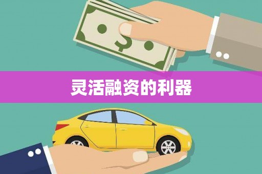 洞头灵活融资的利器