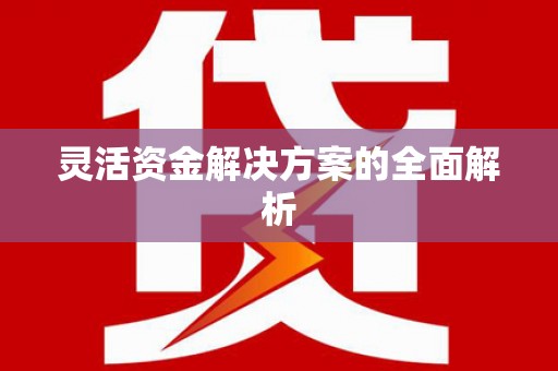 揭东灵活资金解决方案的全面解析