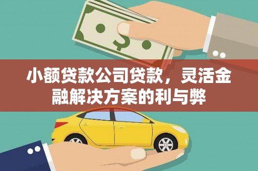 祁县小额贷款公司贷款，灵活金融解决方案的利与弊