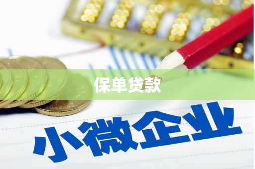 内湖保单贷款 内湖保单贷款